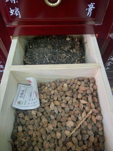 良心药,放心药,买药就去沙河街益民堂大药房
